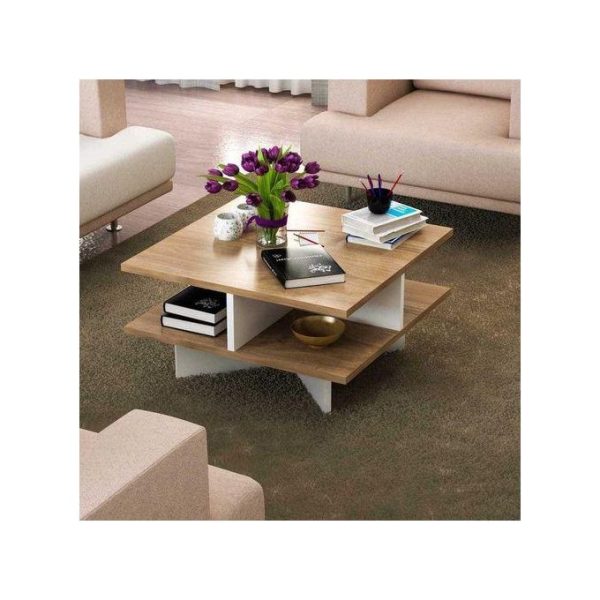 Hamilton Modern Design Coffee Table With Storage