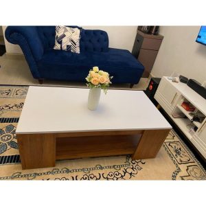 Julz Modern Design Coffee Table With Storage