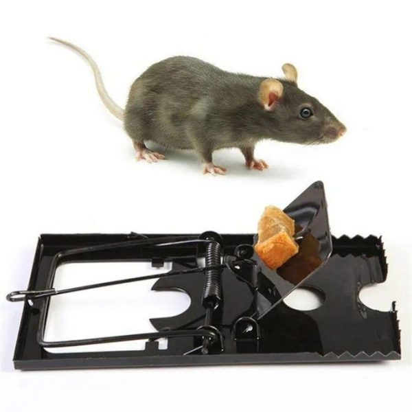 Rat Trap For Home Powerful Mice Mouse Rodent Killer For Home