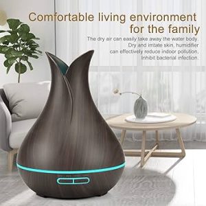 CARFISO LOOX DHEER REMOTE