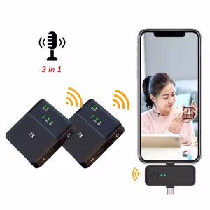 DOUBLE WIRELESS MICROPHONE SX31
